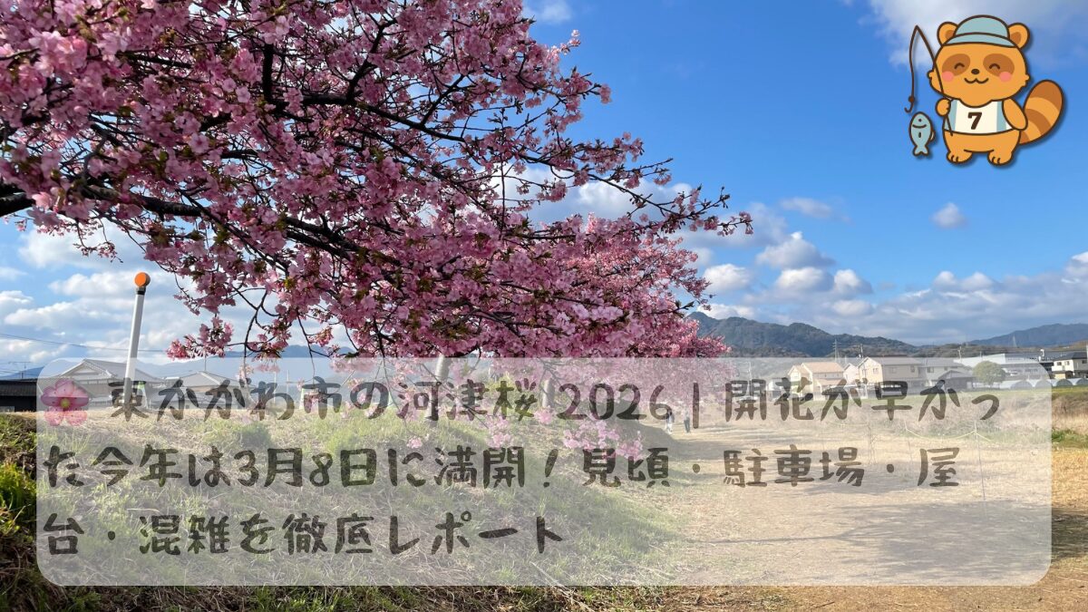 東かがわ市湊川河津桜まつりレポアイキャチ画像