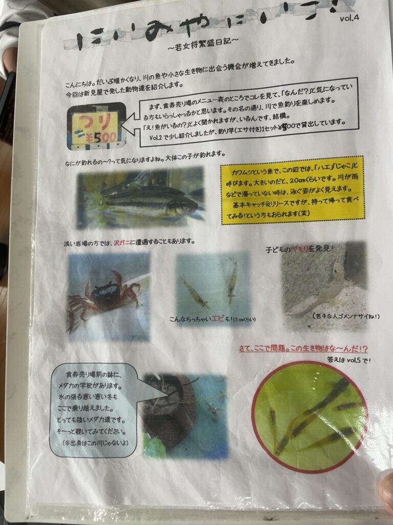 新見屋の釣り案内写真