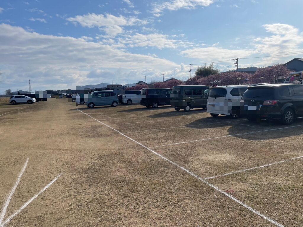 東かがわ市湊川河津桜祭りの８時４０分の駐車場の様子