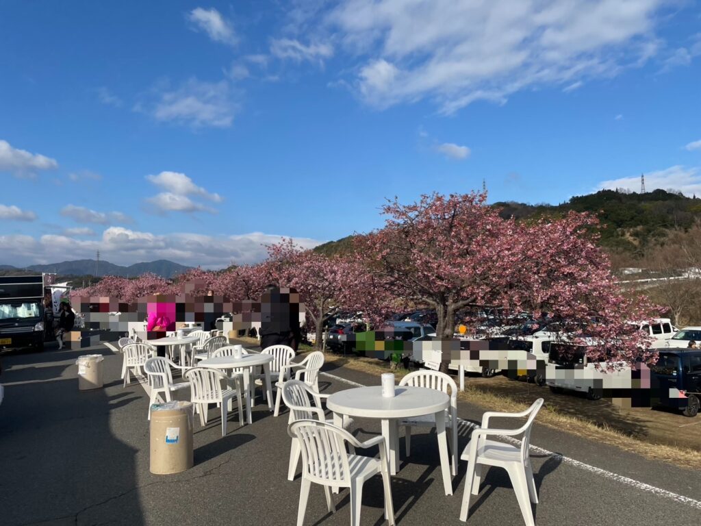東かがわ市湊川河津桜祭りの食事ができるテーブルと椅子の写真