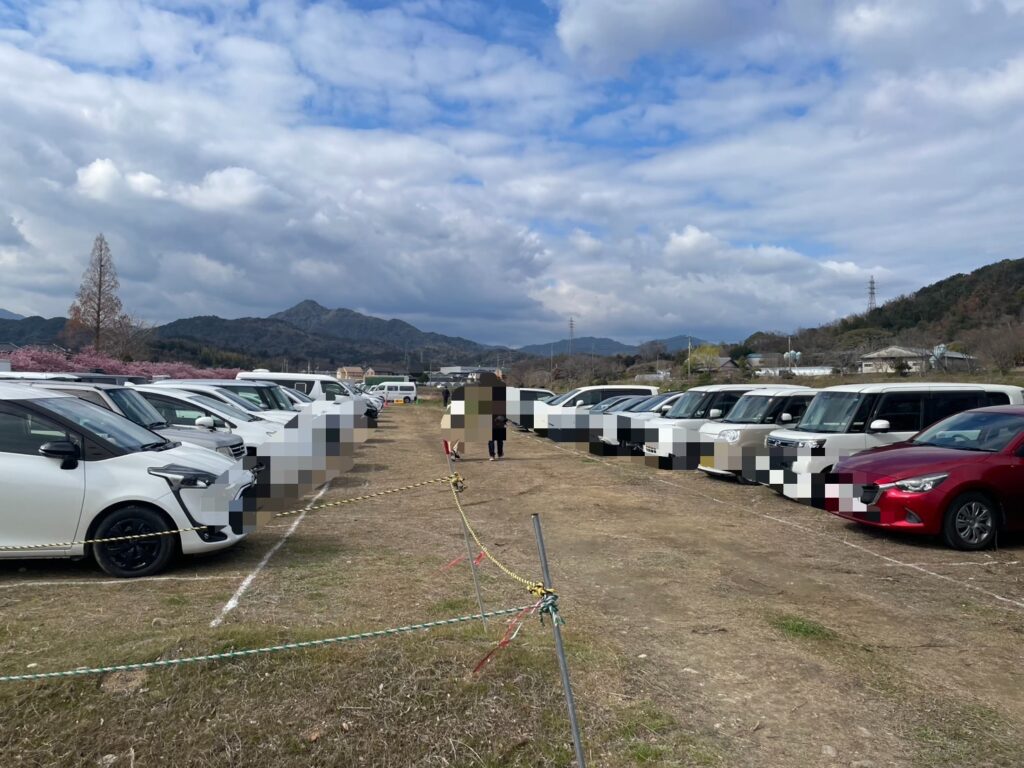 東かがわ市湊川河津桜祭りの９時４０分ごろの駐車場の写真