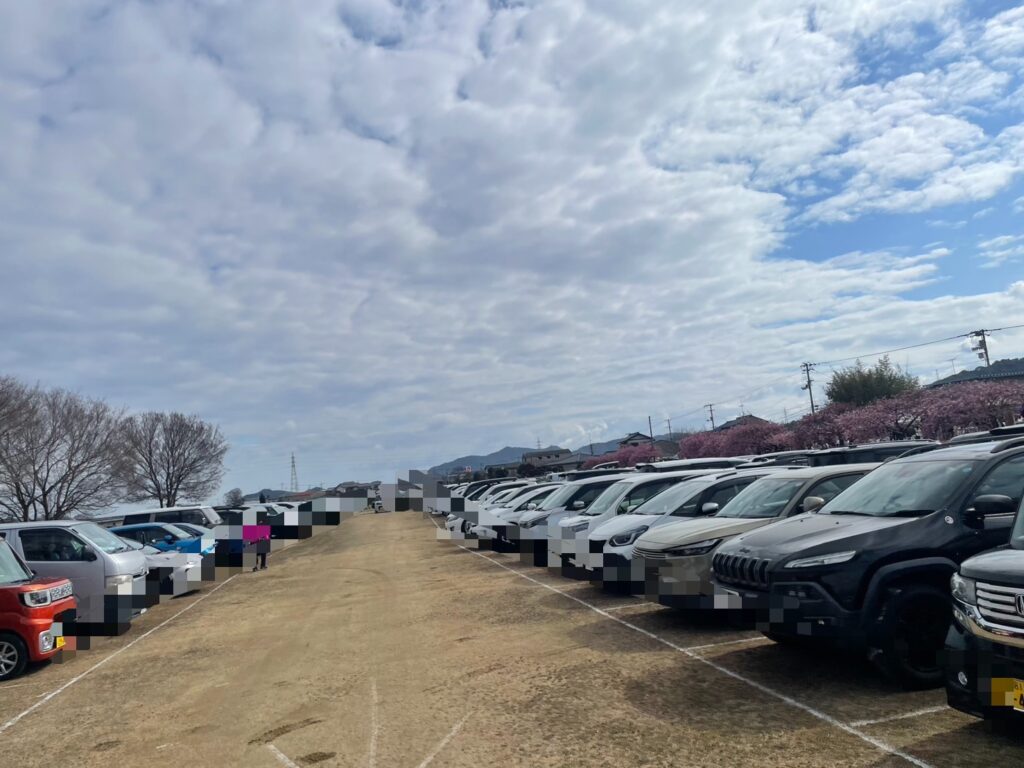 東かがわ市湊川河津桜祭りの９時４０分ごろの駐車場の写真