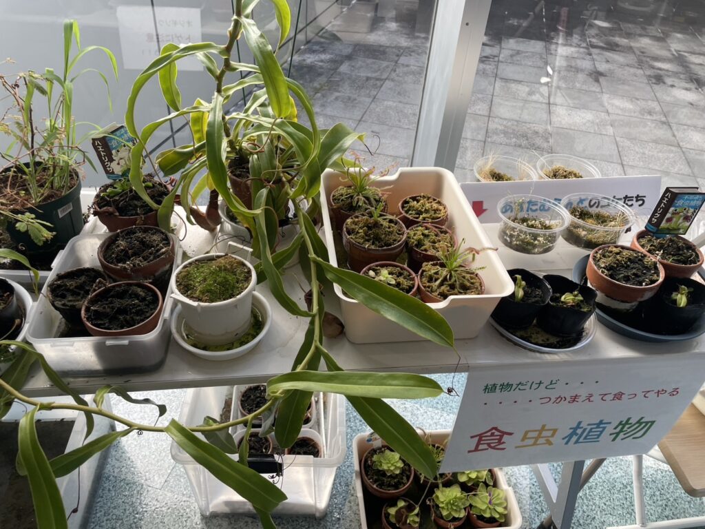 あすたむらんど徳島食虫植物の写真