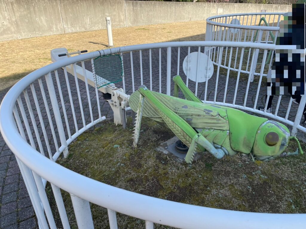 あすたむらんど徳島とのさまバッタ