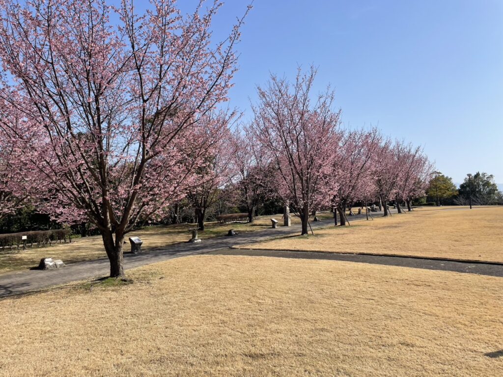 あすたむらんど徳島桜